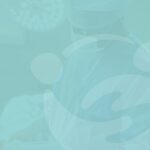 img cover projet en cours 1